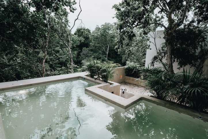 2-Bedroom Villa in Tulum: A Serene Tropical Escape
