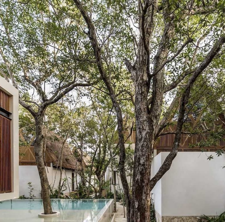 Jungle Keva: Boutique Hotel with 5 lodges in Tulum