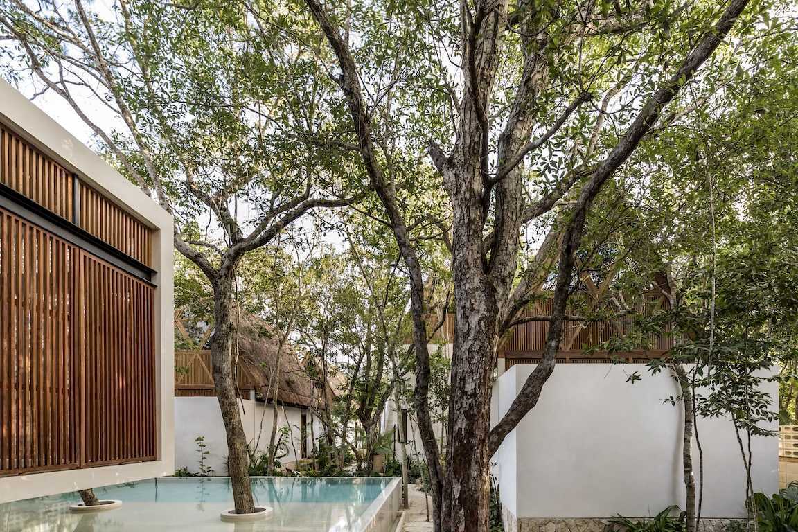 Jungle Keva: Boutique Hotel with 5 lodges in Tulum
