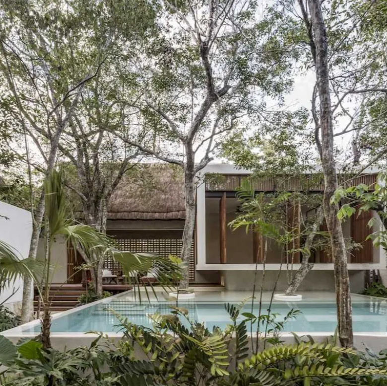 Jungle Keva: Award-Winning Boutique Hotel in La Veleta, Tulum