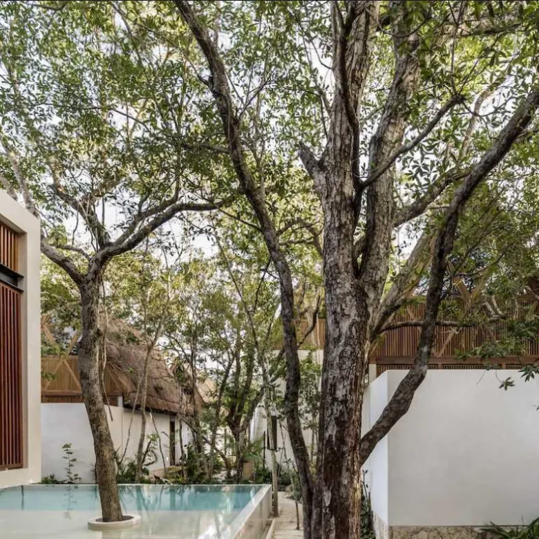 Jungle Keva: Award-Winning Boutique Hotel in La Veleta, Tulum