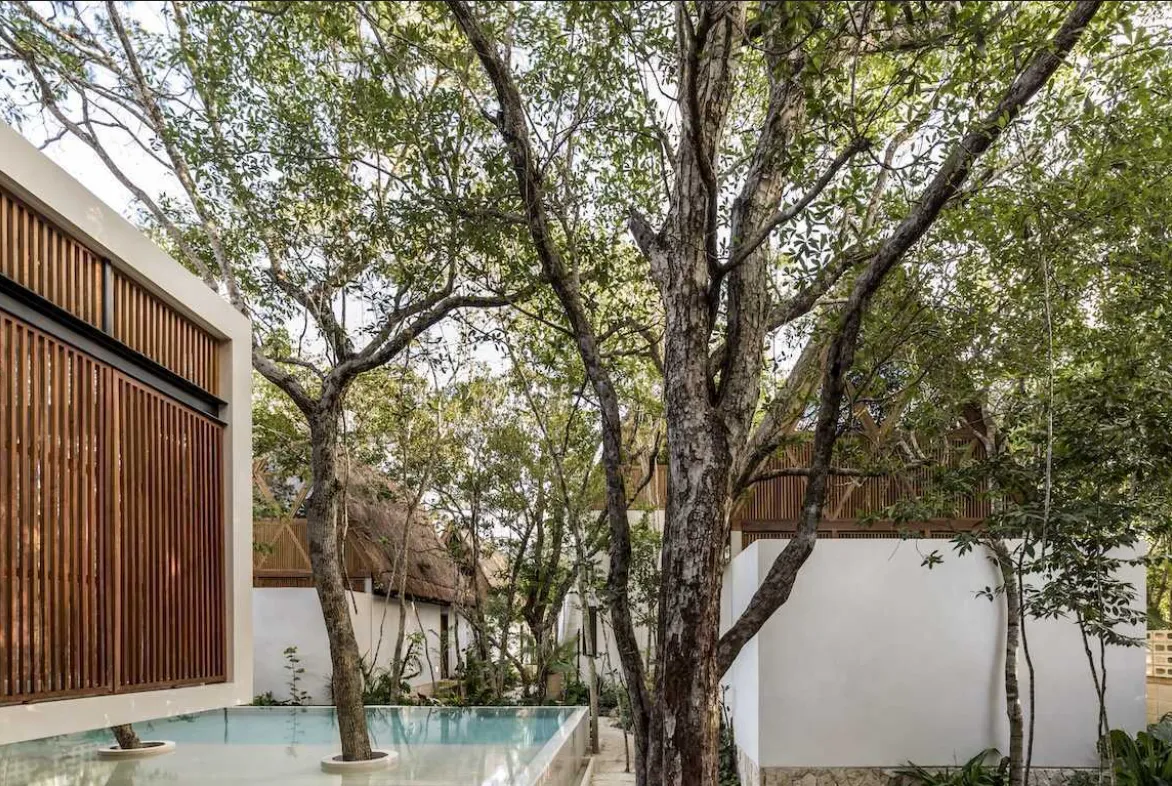 Jungle Keva: Award-Winning Boutique Hotel in La Veleta, Tulum