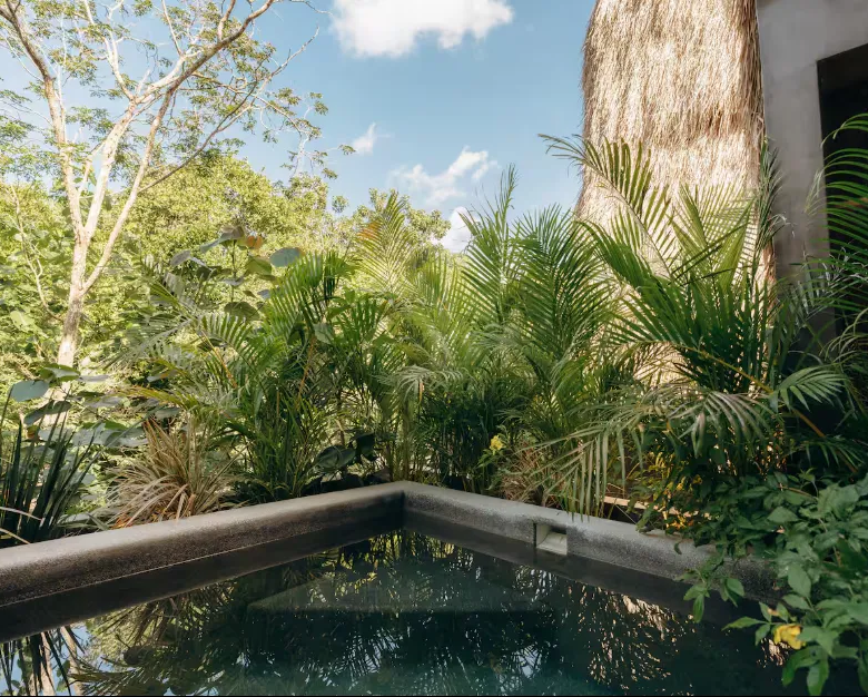 Casa Kuro Tulum — Two-Bedroom Penthouse in Region 15