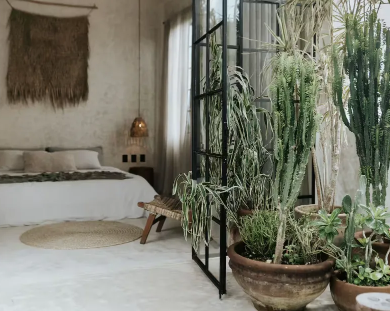 Penthouse Canopia La Veleta Tulum: Two-Bedroom Penthouse with Rooftop Pool