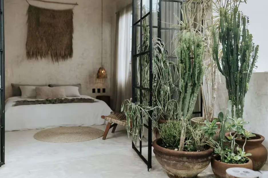 Penthouse Canopia La Veleta Tulum: Two-Bedroom Penthouse with Rooftop Pool