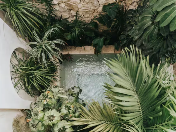 Private plunge pool with hydro-jets and tropical terrace at Casa Nautilus in FÓSIL, La Veleta Tulum